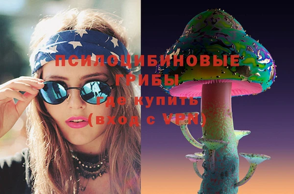 крисы Костерёво