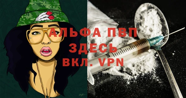 крисы Костерёво