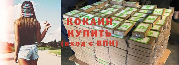 крисы Костерёво